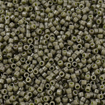MIYUKI Delica Beads X-SEED-J020-DB2365-1