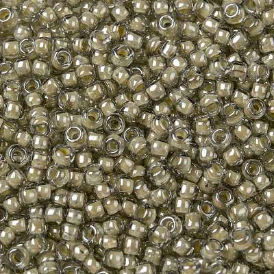 TOHO Round Seed Beads X-SEED-TR08-0369-1