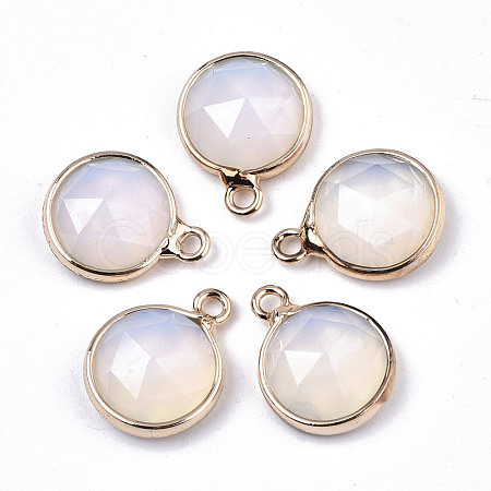 Opalite Charms G-N326-49G-1