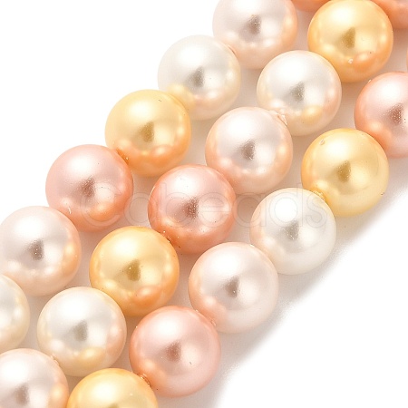 Shell Pearl Beads Strands BSHE-XCP0001-36-1