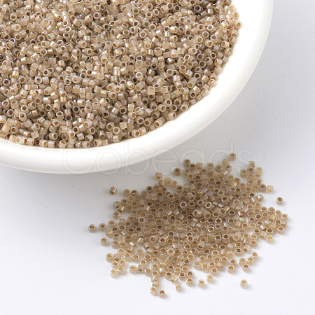 MIYUKI Delica Beads SEED-JP0008-DB1731-1