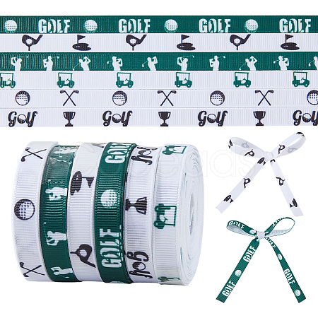Polyester Ribbon OCOR-WH0111-122-1