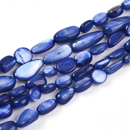 Natural White Shell Beads Strands SHEL-N036-21B-1