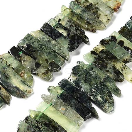 Natural Prehnite Beads Strands G-L551B-12-1