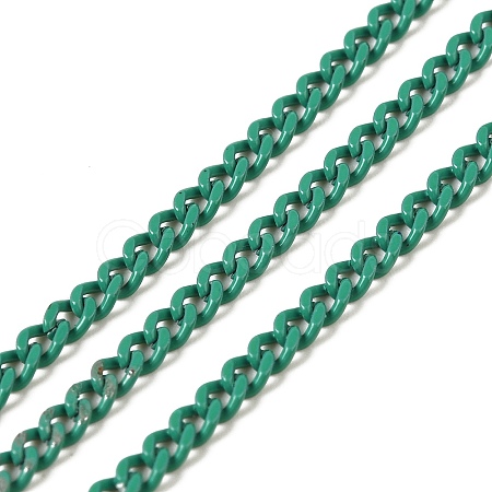 Spray Painted 304 Stainless Steel Curb Chains STAS-B067-05A-10-1