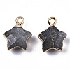 Natural Labradorite Pendants X-G-N326-36B-2