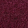 MIYUKI Round Rocailles Beads SEED-X0054-RR1406-2