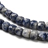Natural Blue Spot Jasper Beads Strands G-H078-C20-01-4
