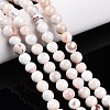 Natural Persian Jade Beads Strands G-A255-A02-01K-1