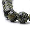Natural Serpentine/Green Lace Stone Beads Strands G-S259-15-10mm-3