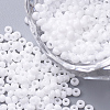 FGB 8/0 Grade A Round Glass Seed Beads X-SEED-N002-A-743-1