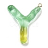 Resin Pendant FIND-Q107-01Y-04-1