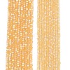 Transparent Glass Beads Strands EGLA-A044-T1mm-MB03-2