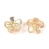 Transparent Electroplate Glass Bead Caps EGLA-N015-01C-2