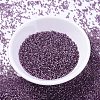 MIYUKI Delica Beads X-SEED-J020-DB2169-2
