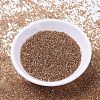 MIYUKI Delica Beads SEED-X0054-DB1241-2