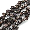 Dyed Natural Cultured Freshwater Pearl Beads Strands PEAR-A006-19B-2