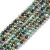 Natural African Turquoise(Jasper) Beads Strands G-F717-01-1