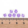 Transparent Acrylic Beads LS-MACR-S373-84-B06-4