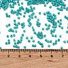 Baking Paint Glass Seed Beads X-SEED-S042-05B-57-4