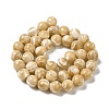 Natural Trochus Shell Beads Strands SHEL-K006-18D-2