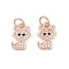 Brass Micro Pave Clear Cubic Zirconia Charms ZIRC-C020-38-2
