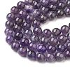 Natural Gemstone Beads Strands G-S036-10