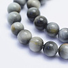 Natural Hawk's Eye Beads Strands G-L478-02-8mm-2