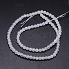 Natural Rainbow Moonstone Round Bead Strands G-M263-A-02-2