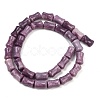 Natural Lepidolite/Purple Mica Stone Beads Strands G-F792-B01-3