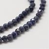 Natural Sapphire Bead Strands G-P271-3mm-13-4