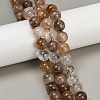 Natural Black Gold Rutilated Quartz Beads Strands G-H093-B03-10mm-1