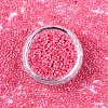 FGB 11/0 Grade A Glass Seed Beads SEED-S030-1144-3