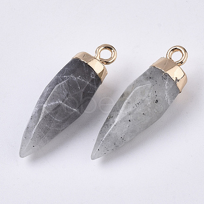 Top Golden Plated Natural Labradorite Pointed Pendants X-G-S359-078D-1