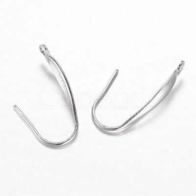 Tarnish Resistant 316 Surgical Stainless Steel Earring Hooks STAS-G081-64P-1