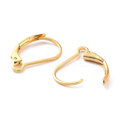 Ion Plating(IP) 304 Stainless Steel Leverback Earring Findings STAS-K233-04G-01-1
