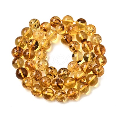 Natural Amber Beads Strands G-K376-H03-03-1