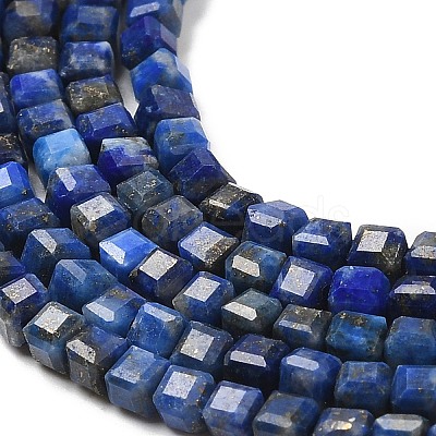 Natural Lapis Lazuli Beads Strands G-E608-B12-1