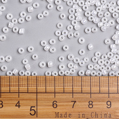 8/0 Glass Seed Beads X1-SEED-A011-3mm-141-1
