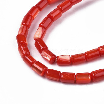 Natural Trochid Shell/Trochus Shell Beads Strands SHEL-N003-26-B03-1
