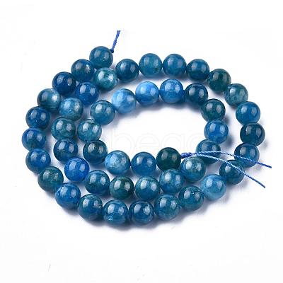 Natural Apatite Beads Strands G-O186-E02-8mm-1