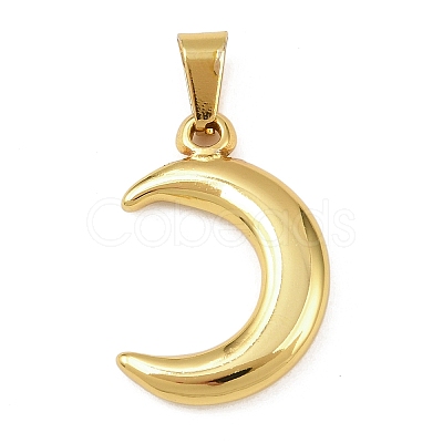 304 Stainless Steel Pendants STAS-K315-03B-G-1