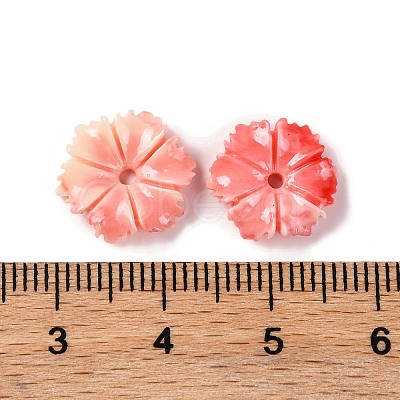 Synthetic Shell Dyed Beads SHEL-C007-04D-1
