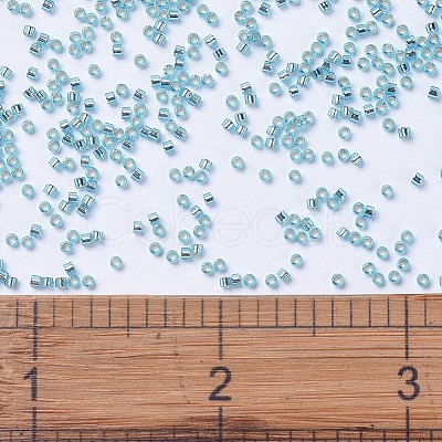 MIYUKI Delica Beads X-SEED-J020-DB1209-1