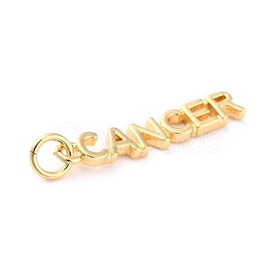 Brass Pendants KK-J276-14-1