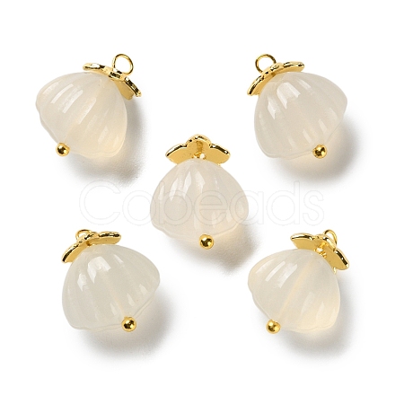 Natural Agate Shell Shaped Pendants G-G179-04-1