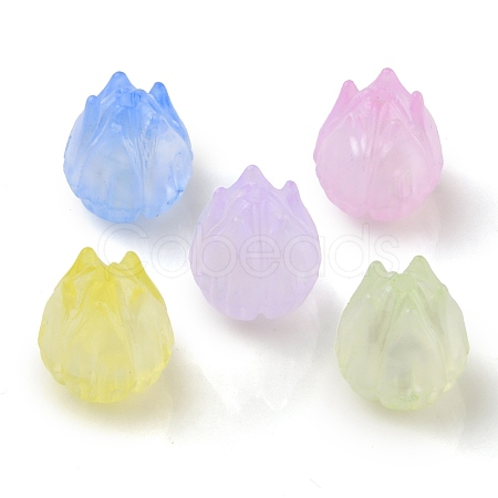 Transparent Acrylic Beads OACR-K005-13-1