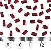 2-Hole Glass Seed Beads X-SEED-S031-M-SH1002F-2