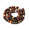 Natural Picasso Jasper/Polychrome Jasper Beads Strands G-Q616-02A-06-3
