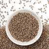 TOHO 3/0 Round Beads SEED-XTR03-0989-2